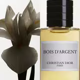BOIS D'ARGENT
