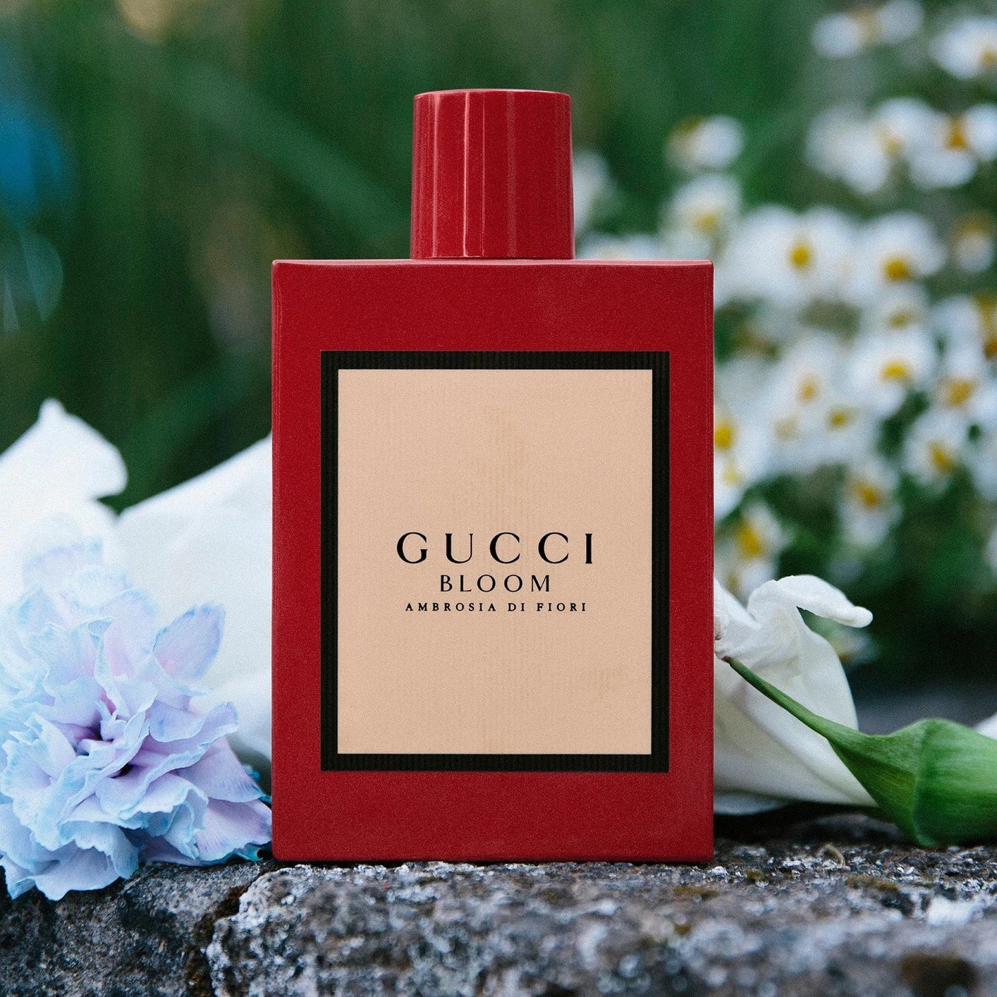 GUCCI Bloom Ambrosia Di Fiori Eau De Parfum Intense