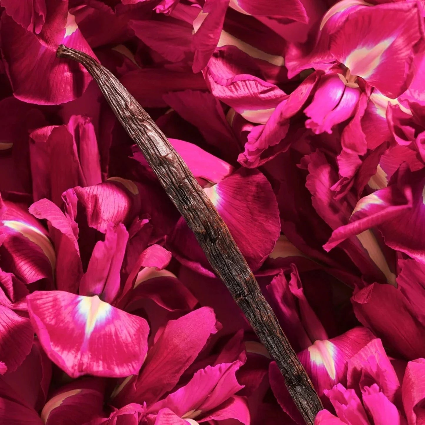 GUCCI Bloom Ambrosia Di Fiori Eau De Parfum Intense