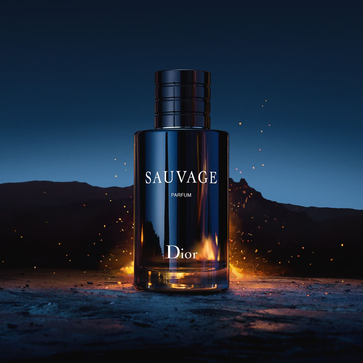 Sauvage - Parfum pour homme