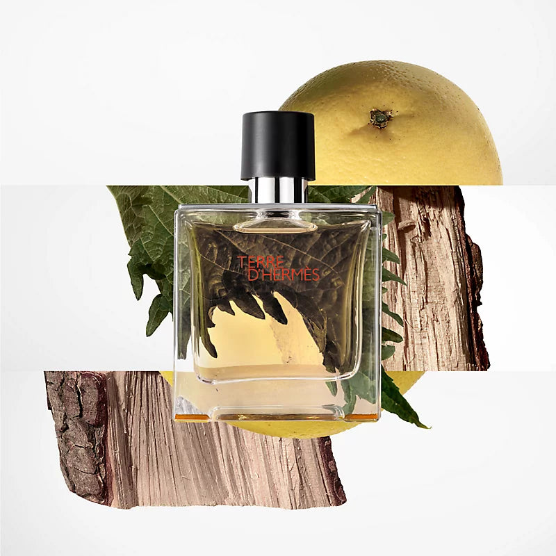 HERMÈS Terre d'Hermès - 100ML