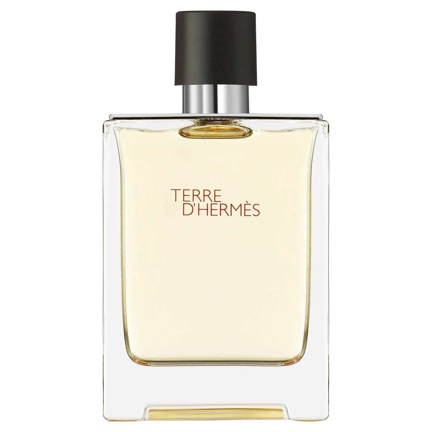 HERMÈS Terre d'Hermès - 100ML