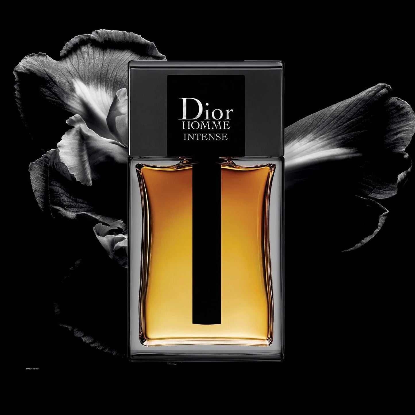 DIOR Homme Intense - Eau de parfum 100ML